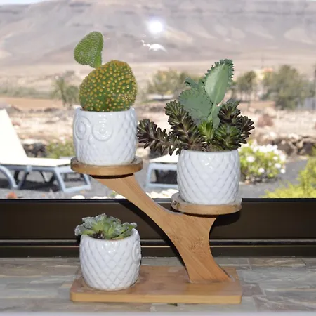 Casa Vista Oasis En Fuerteventura * La Guirra